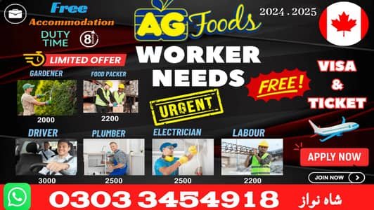 Company Visa, vacancies Available, Staff Required, Jobs In Canada – Other Jobs