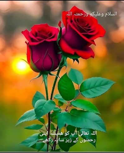 female home made required