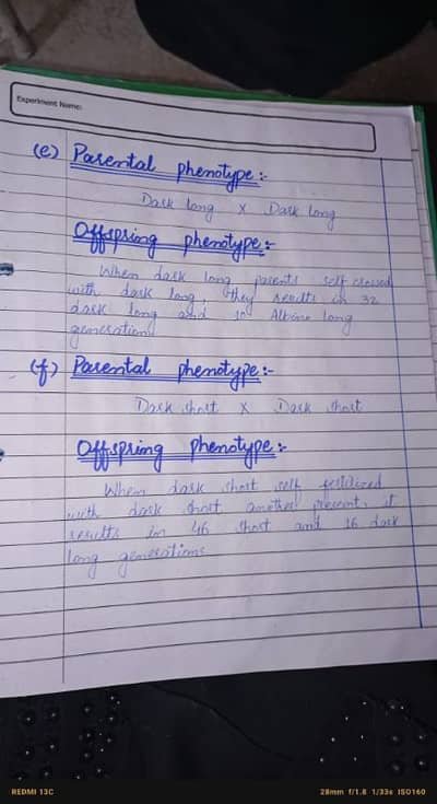 handwriting assignment work