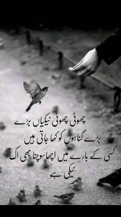 Honda City for service in Lahore