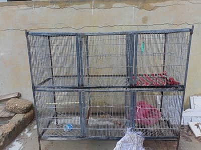 Bird Cage for Sell – Pinjra