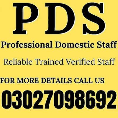 House maids , Baby Sitter , Nanny , Couple , Drivers , Patient care – Maids