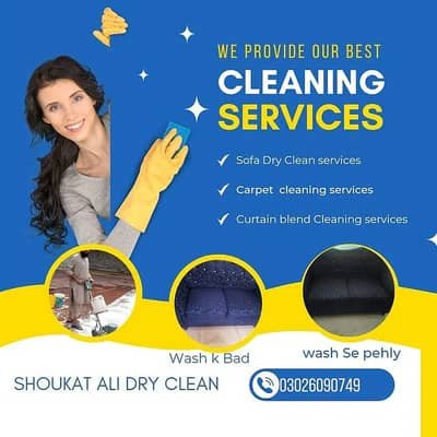 Dry Cleaning ,Sofa Cleaning, Carpet / Rugs Cleaning, Mattres Cleaning – Other Services