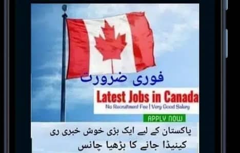 Canada jobs available whatsapp pay rabta kryn 03446847462 – Other Jobs