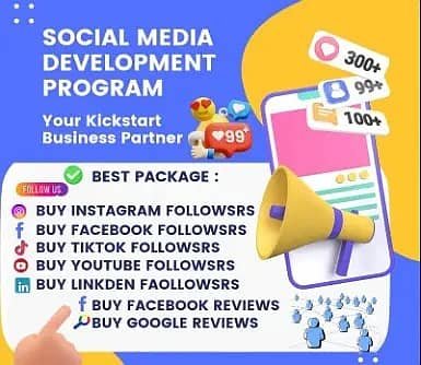 TikTok followers Instagram likes YouTube Views subscribers/Digital Ma