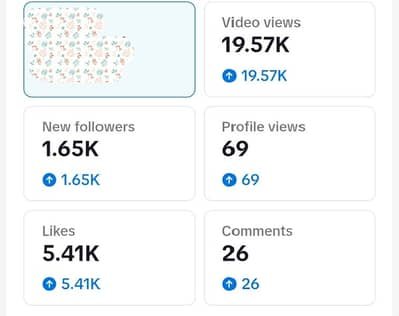 TikTok Marketing Services