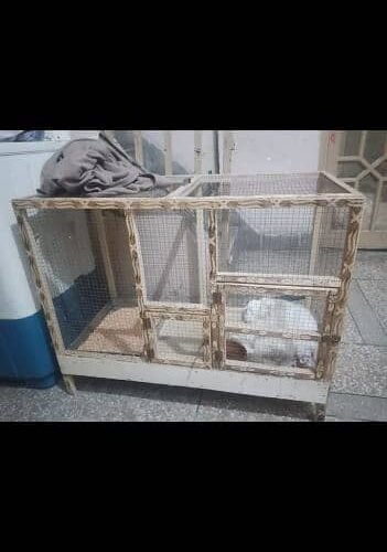 cage for hen cats parrots