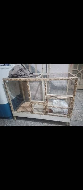 cage for hen cats parrots