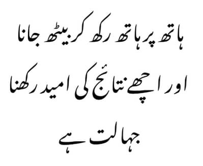 Need a Professional Cook