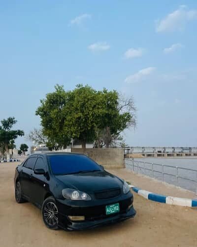 CAR RENTAL SERVICE+ SELF DRIVE